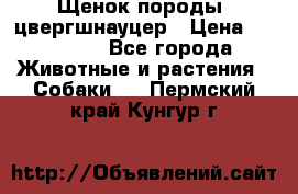 Щенок породы  цвергшнауцер › Цена ­ 30 000 - Все города Животные и растения » Собаки   . Пермский край,Кунгур г.